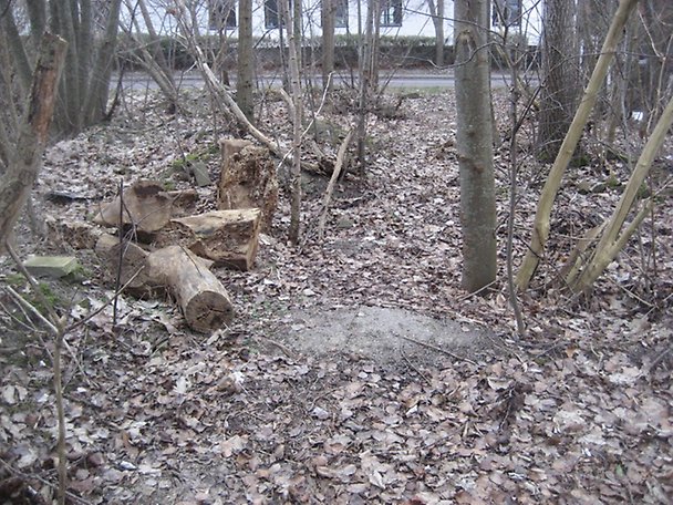 Esarp, Esarpsvägen, Staffanstorp
