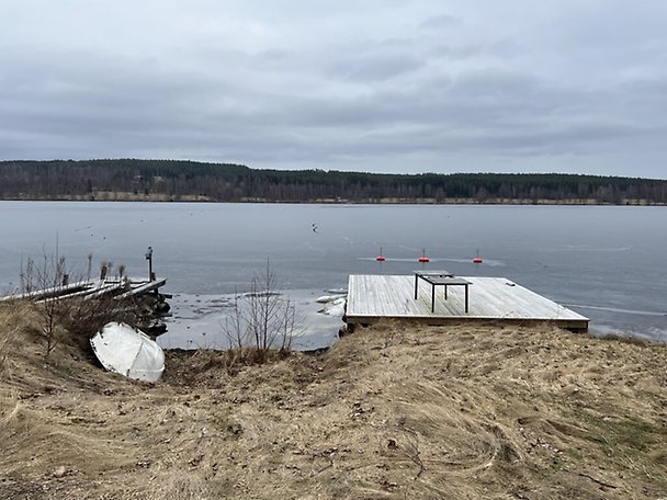 Ludvika, Nedre Skäretvägen 7, Ludvika